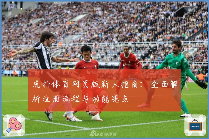 虎扑体育网页版新人指南：全面解析注册流程与功能亮点